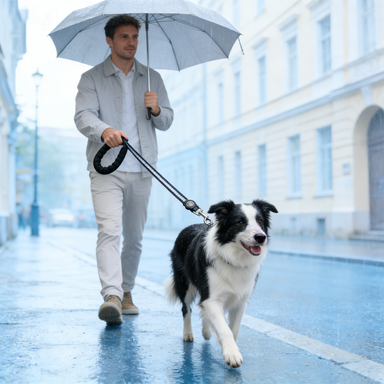 Reflective Nylon Dog Leash with Comfort Padded Handle