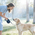 Navy Blue Minimalist Retractable Dog Leash
