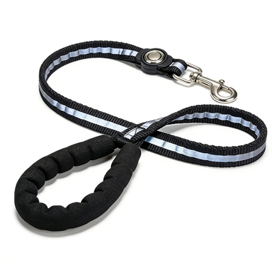 Reflective Nylon Dog Leash with Comfort Padded Handle