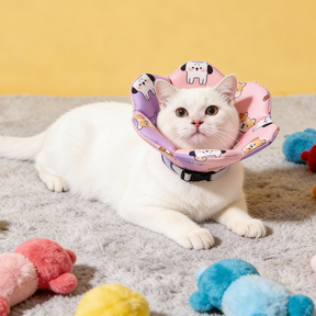 Fun Patterned Pet Cone Collar