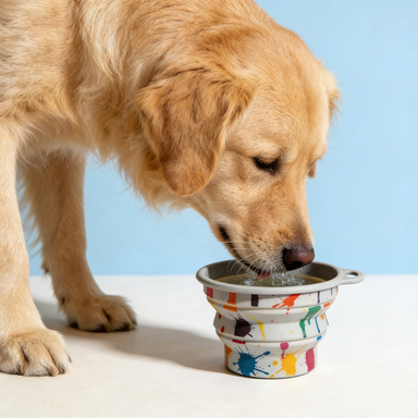Paint Splatter Foldable Pet Water Bowl