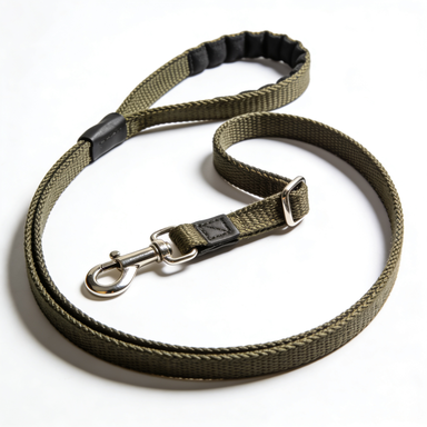 Olive Green Padded Handle Nylon Dog Leash