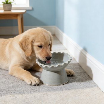 Ruffled Edge Elevated Ceramic Pet Bowl