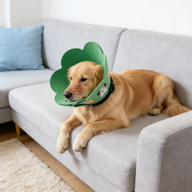 Adorable Flower Pet Recovery Collar